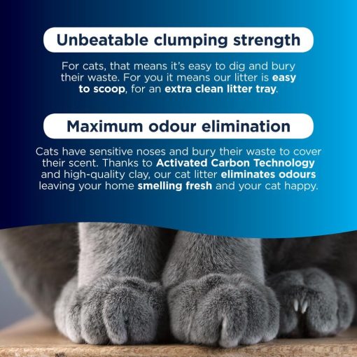 Extra Strong Clumping Cat Litter, 10 Litre, Scented - Image 4