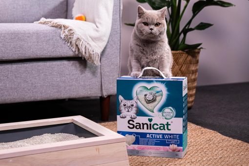 Sanicat Zen Katzenstreu 6 Liter - Image 5